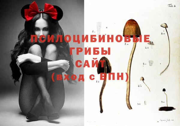 амфетамин Белокуриха